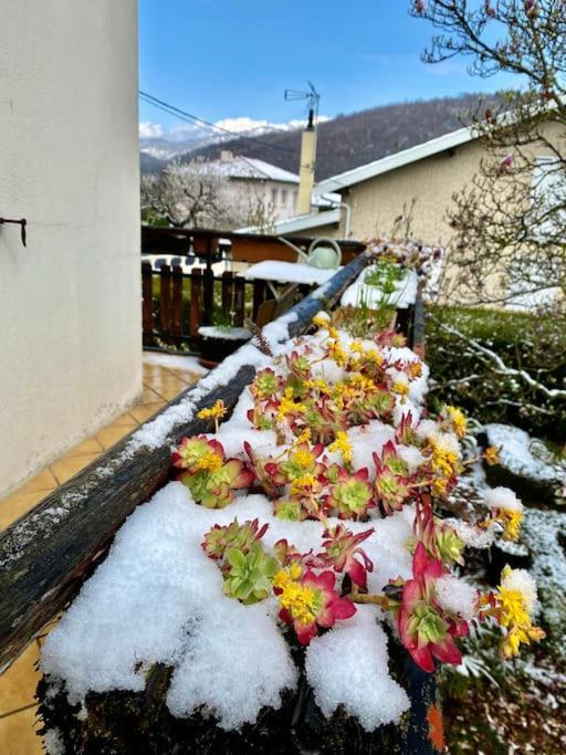 La Terrasse Du Fourcat Appartement Saint-Paul-de-Jarrat Buitenkant foto